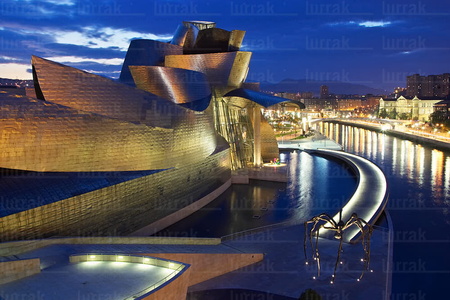 06136-Museo Guggenheim, Bilbao, Bizkaia, Euskadi