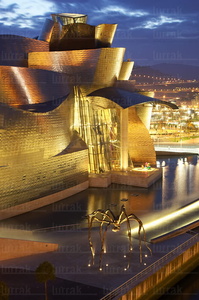 06137-Museo Guggenheim, Bilbao, Bizkaia, Euskadi
