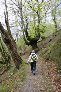 06333-Senda del Camino del Molino del Infierno. Arraioz, Navarra