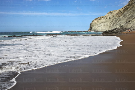 06431-Playa de Itzurun. Flysch. Zumaia, Gipuzkoa, Euskadi