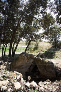 06470-Dolmen de El Encinal. Elbillar, Alava