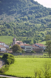 06554-Vista general del pueblo. Valle de Larraun. Aldatz, Navarra