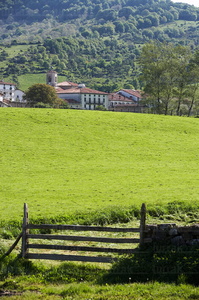06555-Valle de Larraun. Aldatz, Navarra