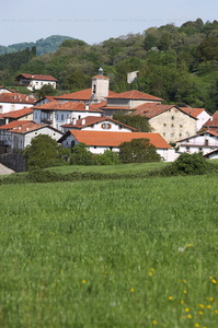 06557-Valle de Ulzama. Navarra
