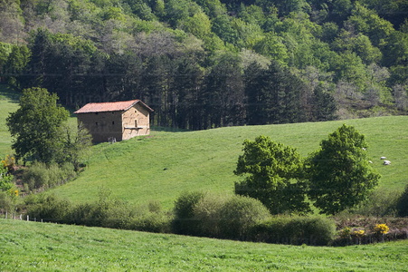 06568-Cabaña. Eltzaburu. Valle de Ulzama. Navarra