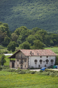 06611-Valle de Ulzama. Navarra