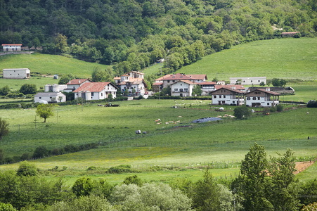 06615-Paisaje del Valle de Ulzama. Gerendiain, Navarra