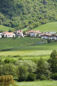 06616-Valle de Ulzama. Navarra