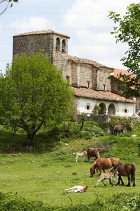 06637-Valle de Ulzama. Navarra