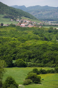06647-Robledal de Orgi. Valle de Ulzama. Lizaso, Navarra
