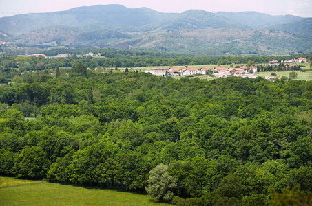 06650-Robledal de Orgi y Lizaso. Valle de Ulzama. Navarra