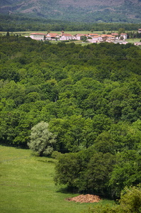 06651-Robledal de Orgi. Valle de Ulzama. Lizaso, Navarra