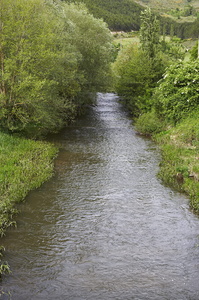 06659-río Ulzama. Navarra