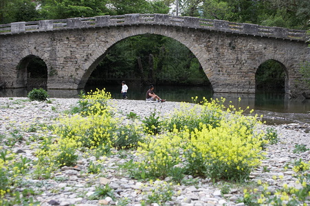 06665-Puente medieval sobre el río Arga. Irotz, Navarra