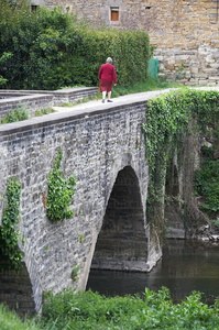 06667-Puente medieval sobre el río Arga. Larrasoaña, Navarra