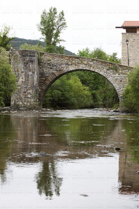 06672-Puente de la Rabia sobre el río Arga. Zubiri, Navarra