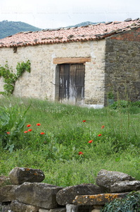 06815-Lerga, Navarra