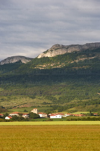 06860-Llanada Alavesa. Munain, Alava, Euskadi