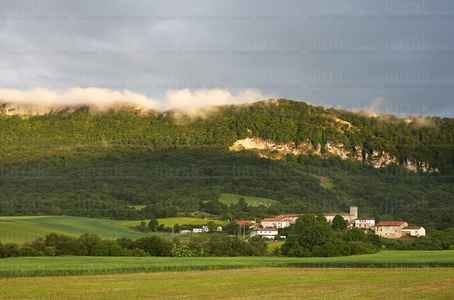 06869-Sierra de Urbasa. Andoin, Alava, Euskadi