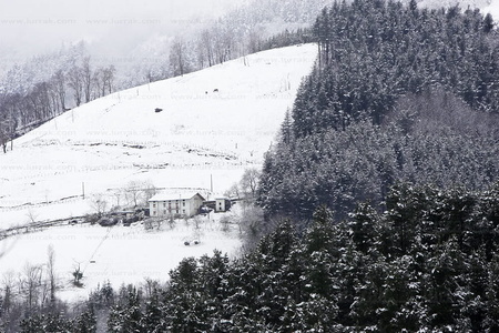 07347-Montes nevados.Mutiloa, Gipuzkoa, Euskadi