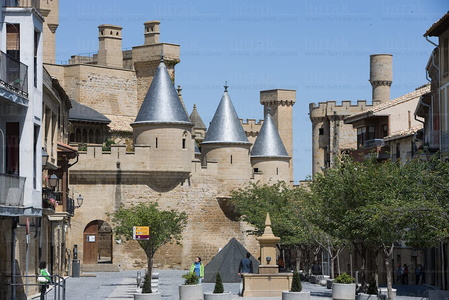 07419-Castillo de Olite, Navarra