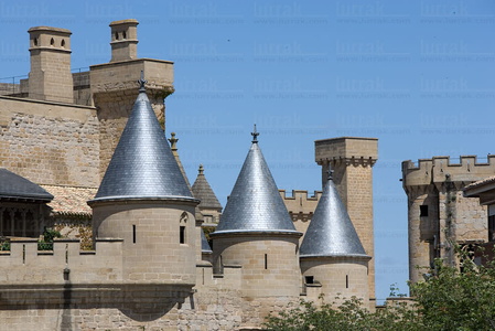 07420-Castillo de Olite, Navarra