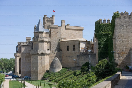 07422-Castillo de Olite, Navarra