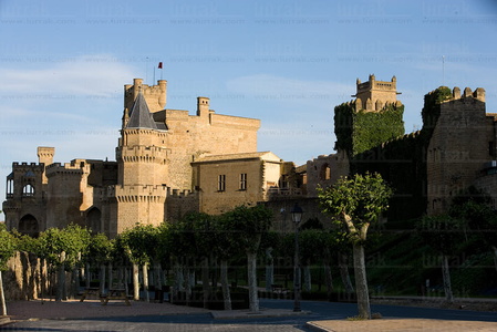 07424-Castillo de Olite, Navarra
