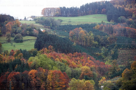 07605-Paisaje en otoño . Alegia, Gipuzkoa, Euskadi
