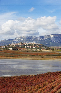 07691-Laguna de Carrologroño. Lagunas de Laguardia, Alava, Eusk