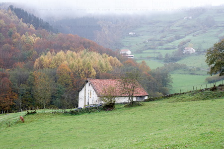 07899-Caserío en otoño. Bidegoian, Gipuzkoa, Euskadi