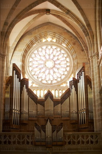 07997-Catedral de Santiago. Bilbao, Bizkaia, Euskadi