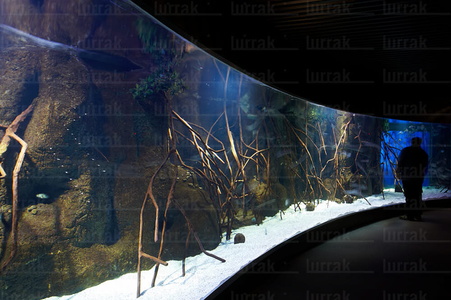08173-Aquarium. San Sebastián, Gipuzkoa, Euskadi