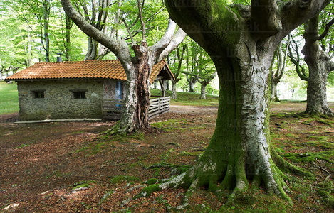 08403-Parque Natural de Peñas de Aia. Oiartzun, Gipuzkoa, Euska