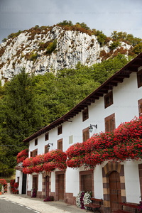 08835-Balcones con Flores. Valle de Erro, Navarra