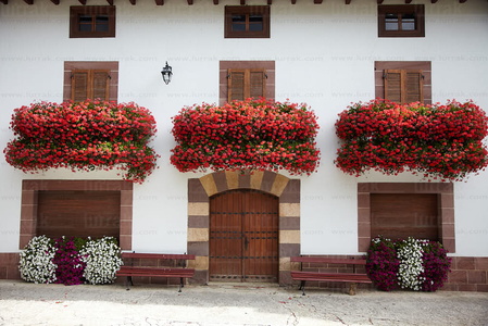 08837-Balcones con Flores. Valle de Erro, Navarra