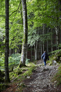 08855-Senderismo por  la Selva de Irati. Orbaizeta, Navarra